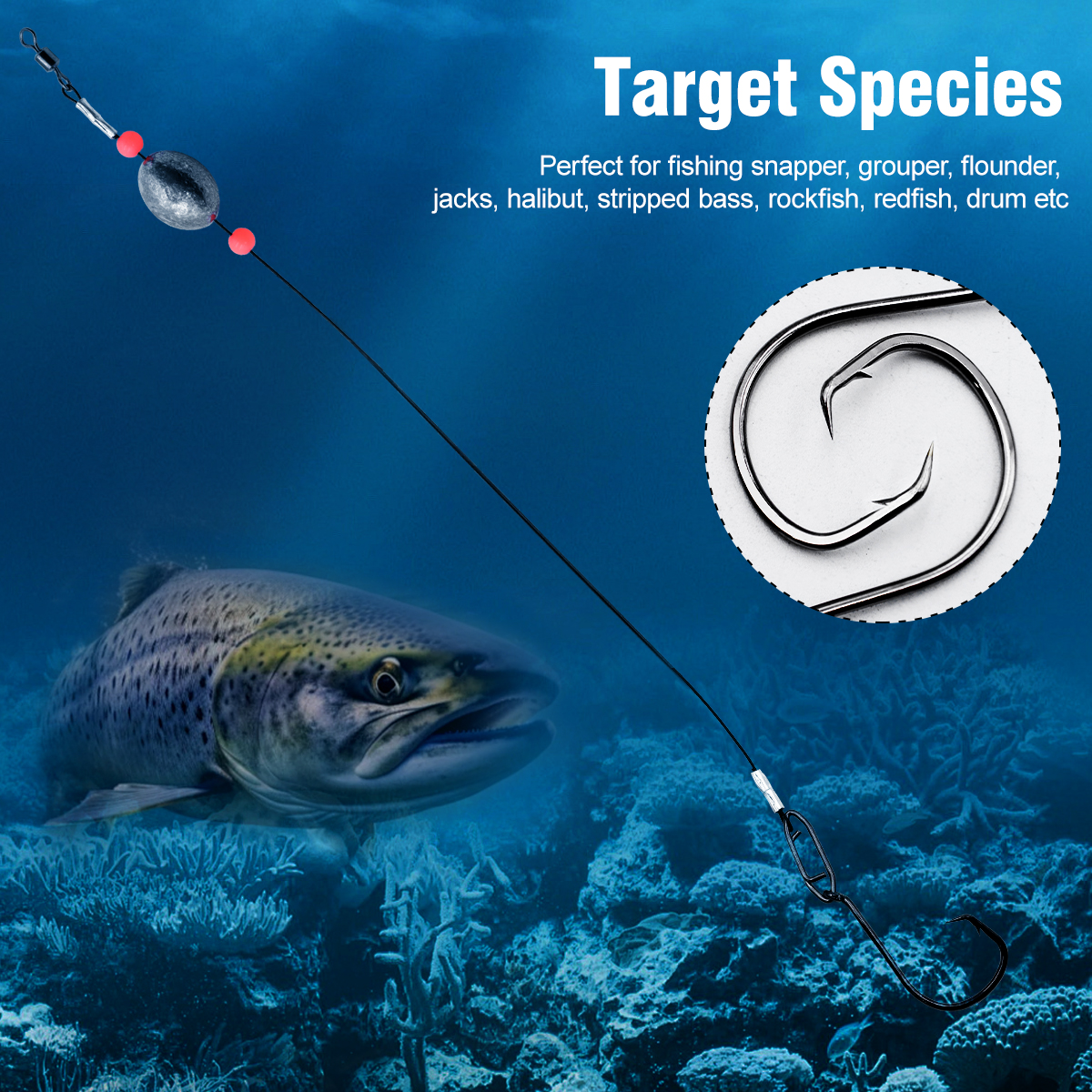 ZYZHE 2pcs Fishing Carolina Ri - Fishing Hook Circle avis et prix