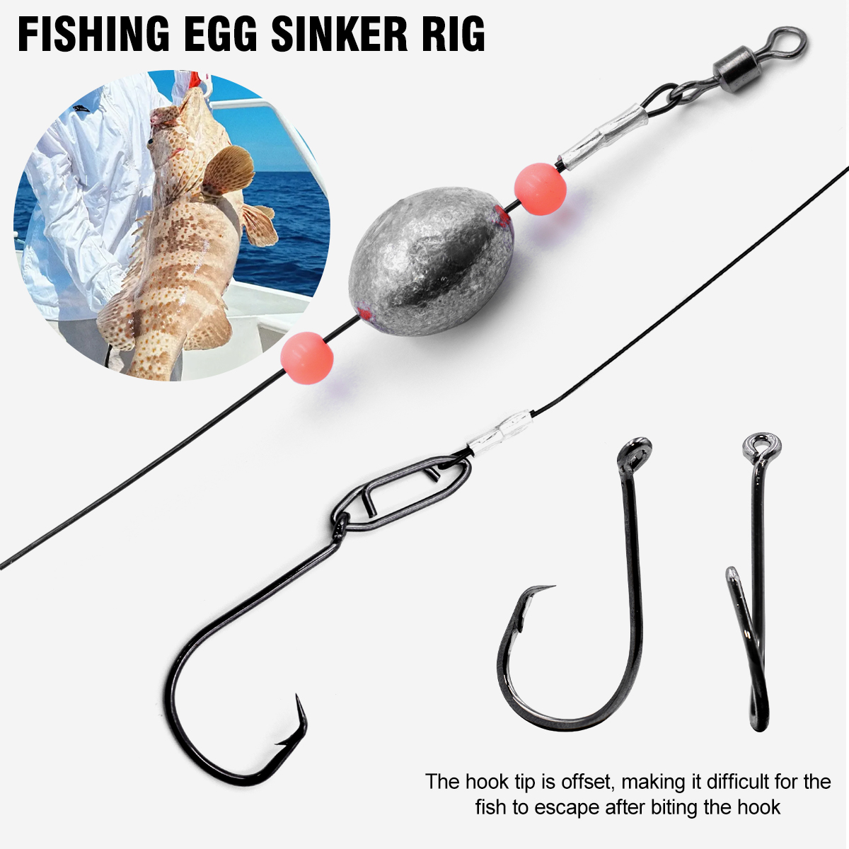 ZYZHE 2pcs Fishing Carolina Ri - Fishing Hook Circle avis et prix