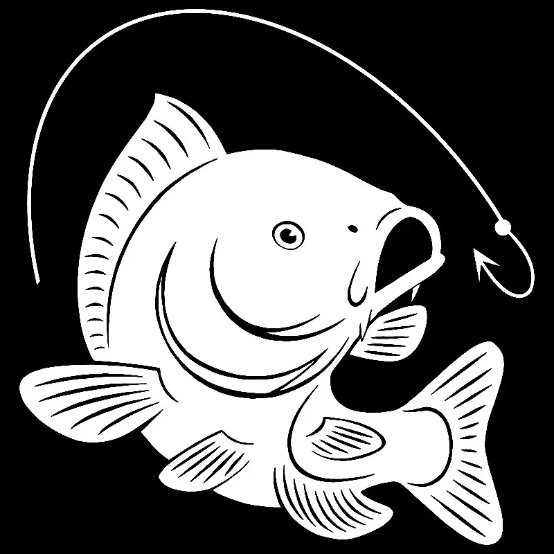 Carp Fishing Hook Decal Decora - Fishing Hook avis et prix