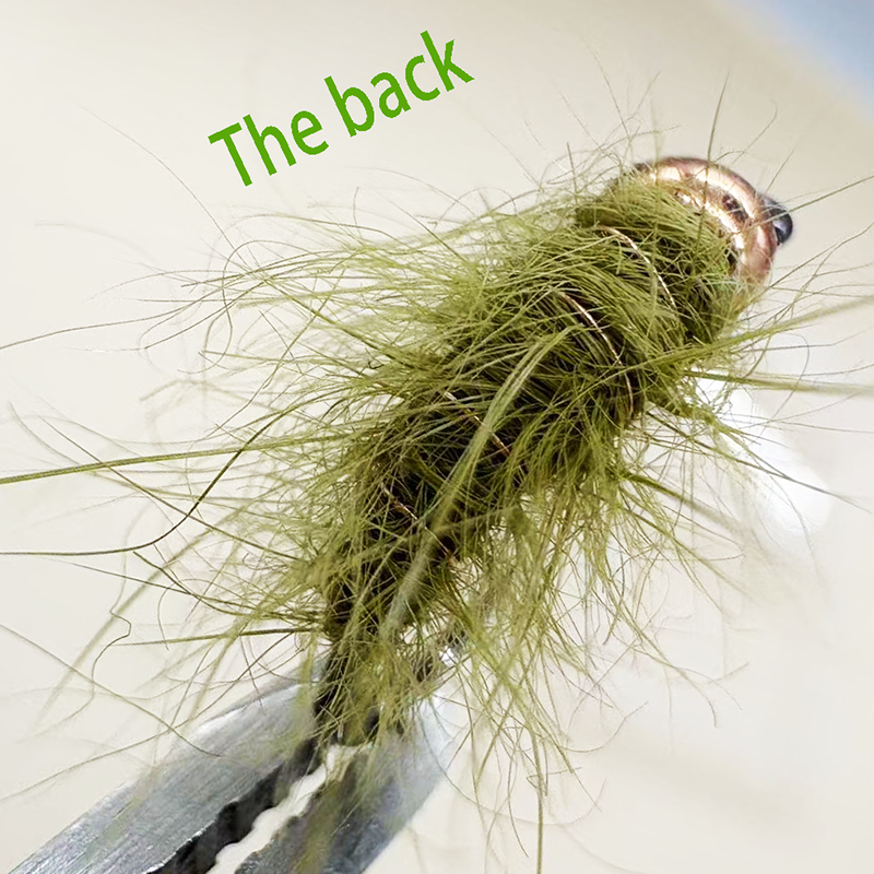 5PCS Fly Fishing Nymphs Wet Fl - Fishing Hook Barbless avis et prix