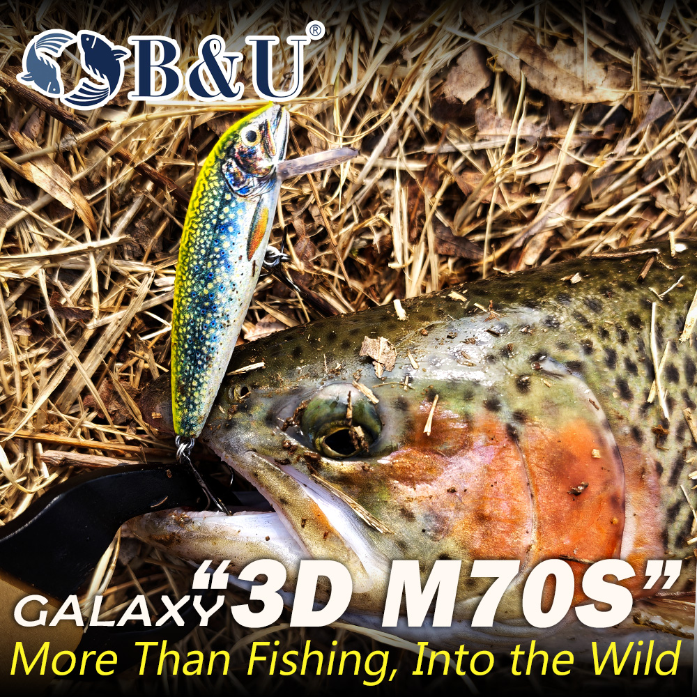 B&U Sinking Minnow Fishing Lur - Fishing Hook Treble avis et prix