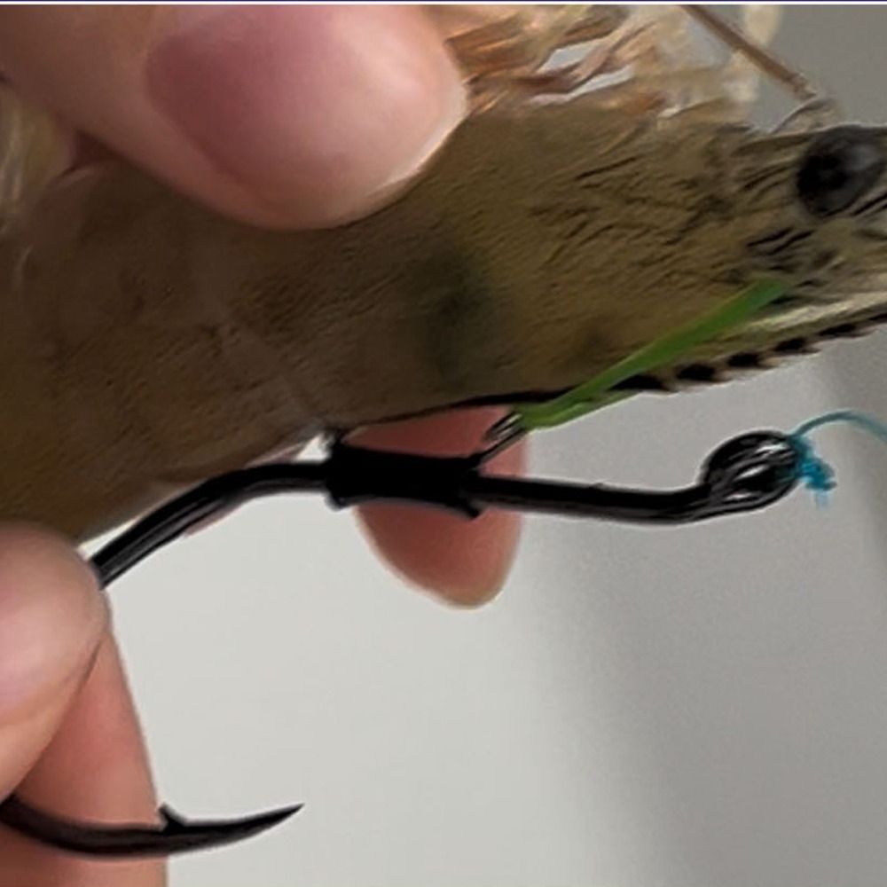 10pcs Pickerel Live Shrimp Bai - Fishing Hook Weedless avis et prix