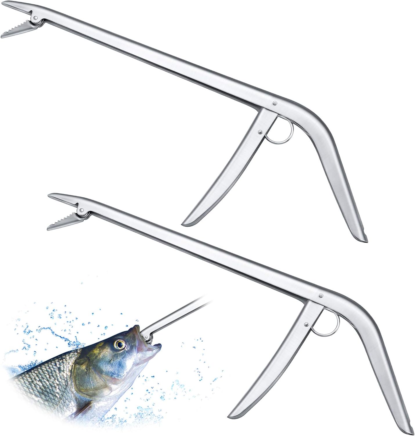 2 Pieces Stainless Steel Fish  - Fishing Hook avis et prix