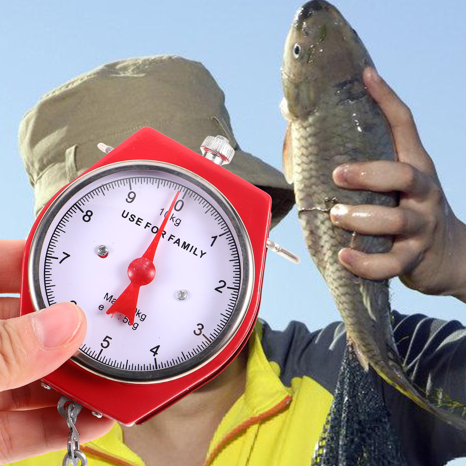 Hanging Scale Handheld High Pr - Fishing Hook avis et prix