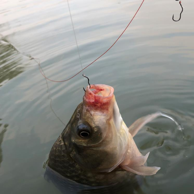 FTK Automatic Flip High Carbon - Fishing Hook Assortment avis et prix